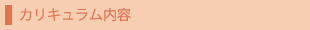 カリキュラム内容