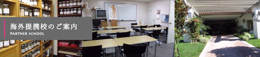 �C�O��g�Z�̂��ē�