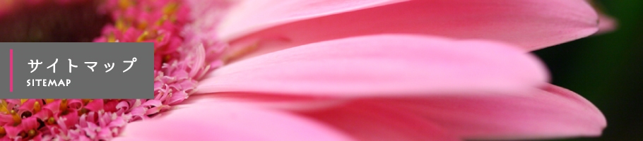 �T�C�g�}�b�v